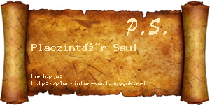 Placzintár Saul névjegykártya